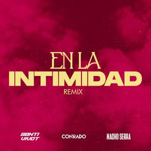 En La Intimidad (Remix)