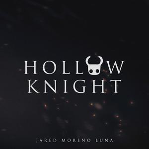 Hollow Knight