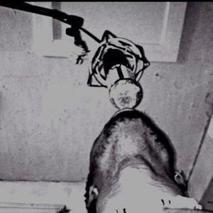 lets get disrespectful (Explicit)