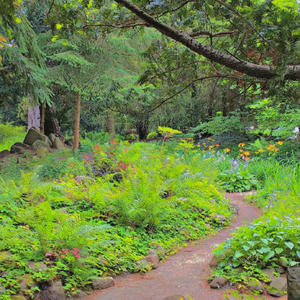 push it (feat. dxno!) (Explicit)