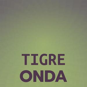 Tigre Onda