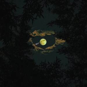painting (纯音乐感觉至上)