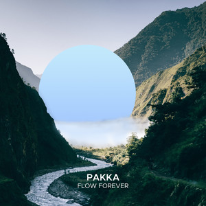 Flow Forever (Extended Mix)