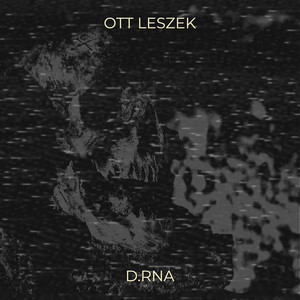 Ott Leszek