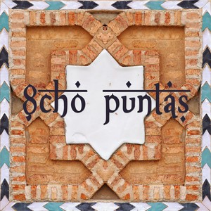 Si ese pañuelo de flores