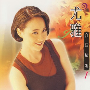 安平追想曲封面
