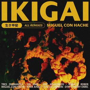 IKIGAI (Explicit)