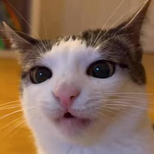 Something is wrong (Explicit)