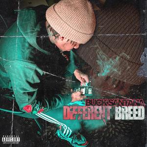 Different Breed (Explicit)