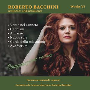 Roberto Bacchini - Nuovo sole