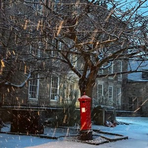 风吹起落叶-DJ细雨