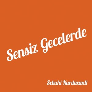 Sensiz Gecelerde