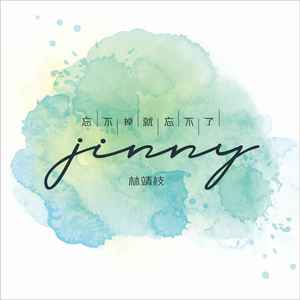 林靖枝 - 忘不掉 就忘不了 (伴奏)