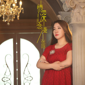 情深念浅 (DJ何鹏版)