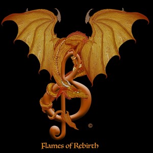 Been There Done That Got The T Shirt