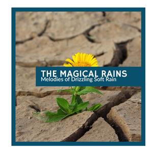 The Magical Rains - Melodies of Drizzling Soft Rain