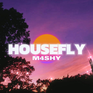 Housefly