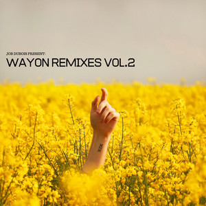 WayOn Remixes, Vol. 2