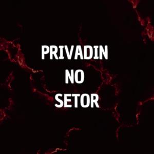 Privadin No Setor (Explicit)