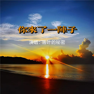 你来了一阵子