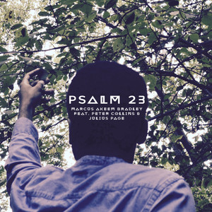 Psalm 23