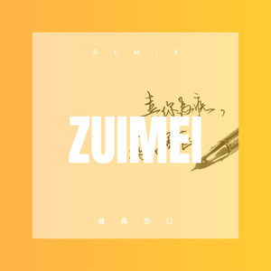 最美伤口 (DJ版)