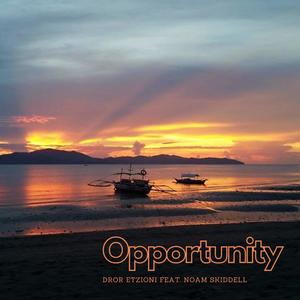 Opportunity (feat. Noam Skiddell)