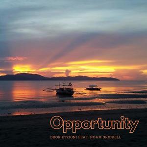Opportunity(feat. Noam Skiddell)