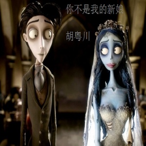 你不是我的新娘