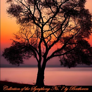 Symphony No. 7 in A Major, Op. 92 - II. Allegretto