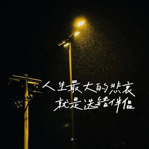 人生最大的悲哀就是选错伴侣 (女声版伴奏)