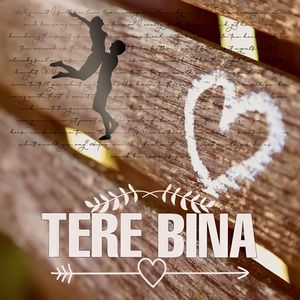 Tere Bina