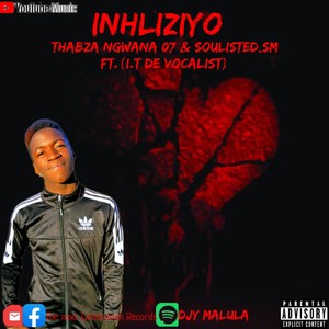 Inhliziyo (feat. Thabza Ngwana 07, I.T & Soulisted Sm)