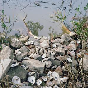 Watch me, I'm performing