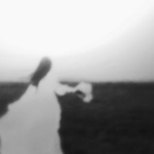 不必看清你的脸