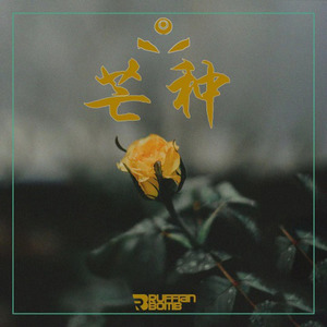 芒种 (Ruffian bomb x Airjodry Remix)