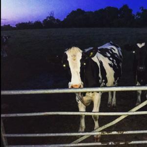 front. (feat. Jafro & Reynold)