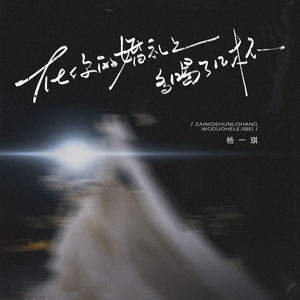 在你的婚礼上多喝了几杯