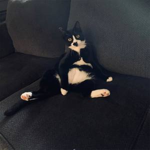 WORTHLESS PART 2 (Explicit)