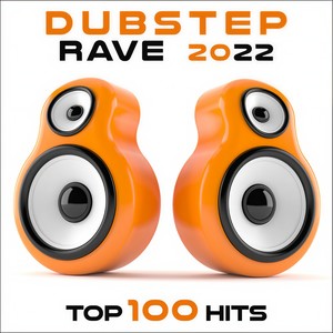The Future (Hairbass Remix)