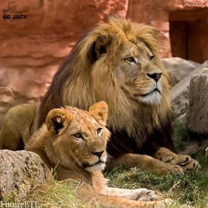 Feel Good (Radio Edit)