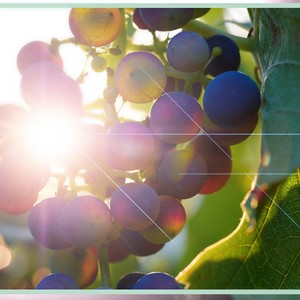 깊은 밤의 힐링테라피(마음의 쉼)