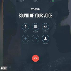 Sound Of Your Voice