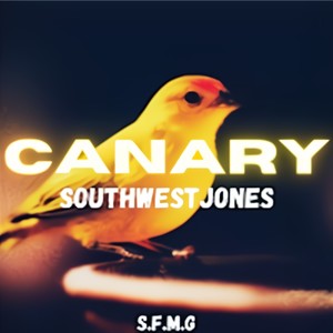 Canary(feat. Double0Stunna) (Explicit)