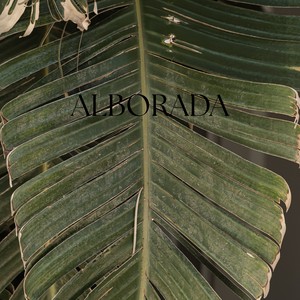 Alborada