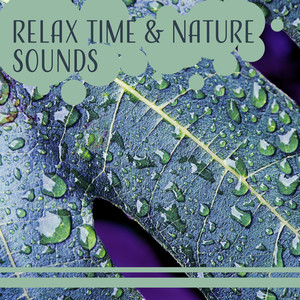 Relax Time & Nature Sounds – Pure Sounds of Nature, New Age Music Therapy For Stress