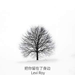 权威依旧 - Levi Roy封面