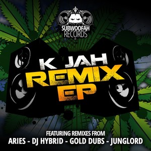 Dub Dun Already (Aries Remix)