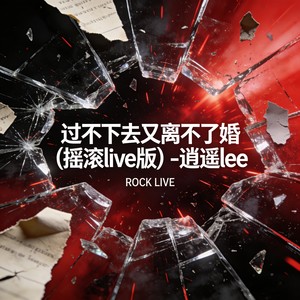 过不下去又离不了婚 (摇滚live版)