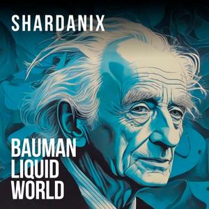 Bauman liquid world (cinematic theme)